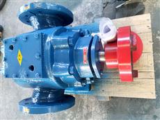 BW38保温齿轮泵-BW不锈钢保温泵-6保温齿轮泵