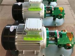 WCB50手提泵-便携式齿轮泵