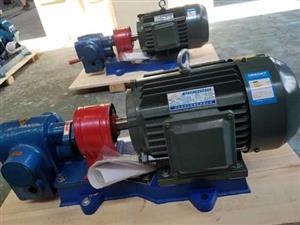 浙江保温齿轮泵