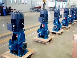 浙江LYB型立式圆弧齿轮泵