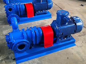 浙江不锈钢转子泵