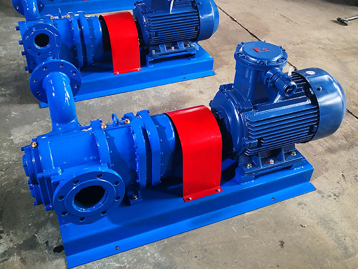 浙江不锈钢转子泵