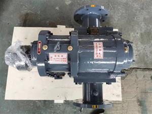 浙江LZB节能转子泵