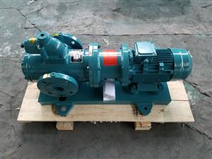 浙江磁力螺杆泵