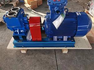 浙江YHCB100铜齿轮圆弧齿轮泵