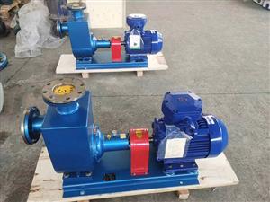 浙江100CYZ-40自吸离心泵