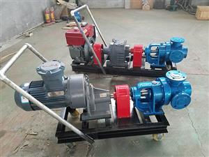 浙江NYP不锈钢高粘度转子泵