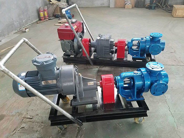 浙江NYP不锈钢高粘度转子泵