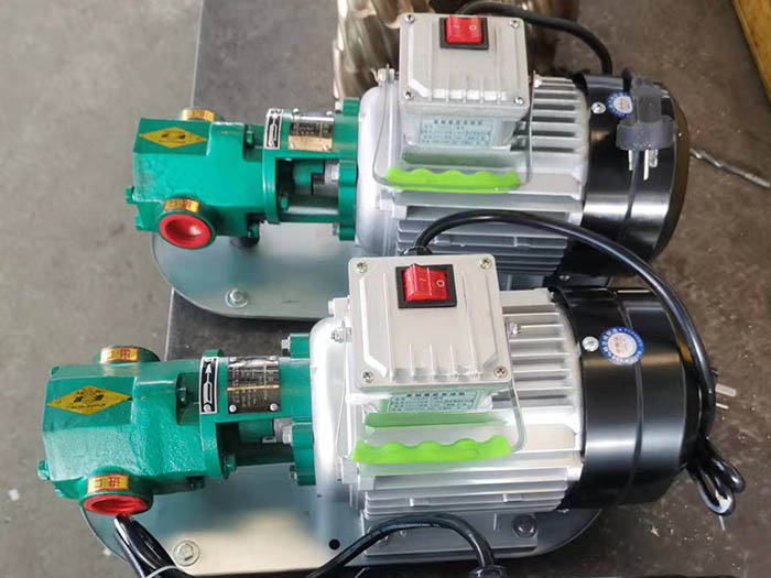 浙江WCB50手提泵