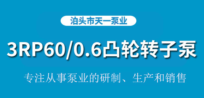 浙江3RP60/0.6凸轮转子泵