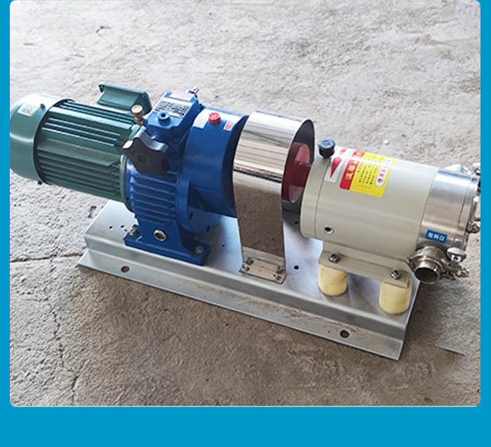 浙江3RP60/0.6凸轮转子泵