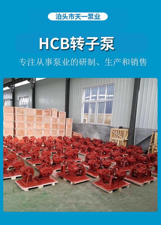 <strong>浙江HCB转子泵</strong>