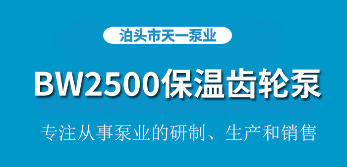 <strong>浙江BW2500保温齿轮泵</strong>