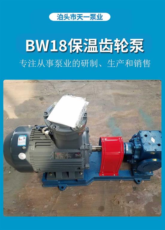 <strong>浙江BW18保温齿轮泵</strong>
