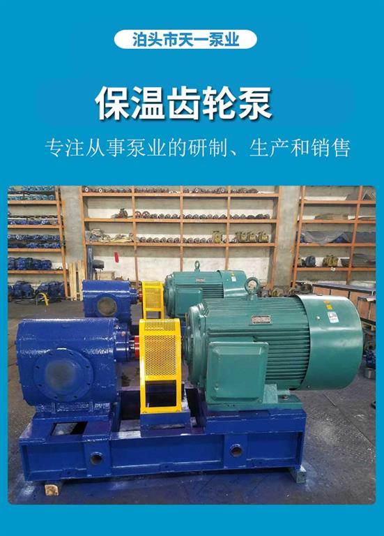 <strong>浙江保温齿轮泵</strong>