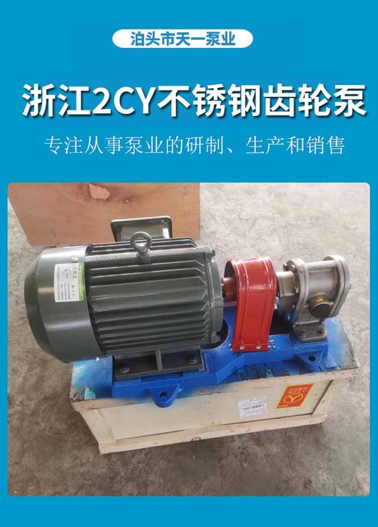 <strong>浙江2CY不锈钢齿轮泵</strong>