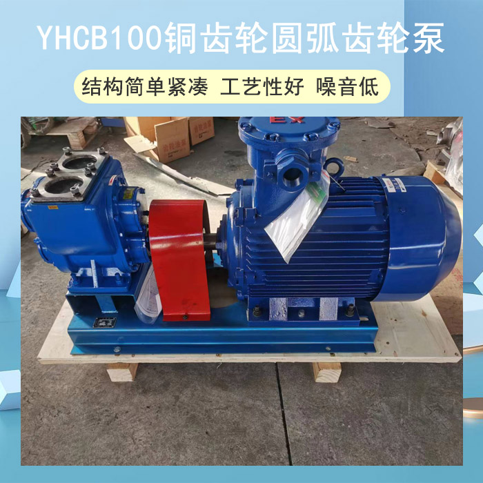 YHCB100铜齿轮圆弧齿轮泵