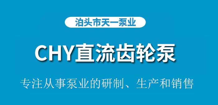 CHY20/0.36直流齿轮泵