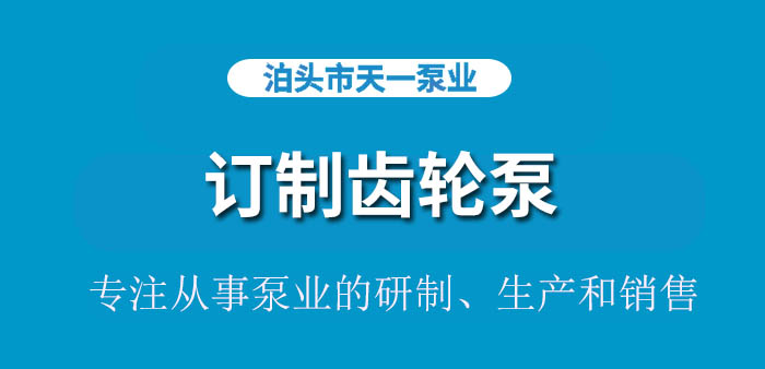 <strong>浙江订制齿轮泵</strong>