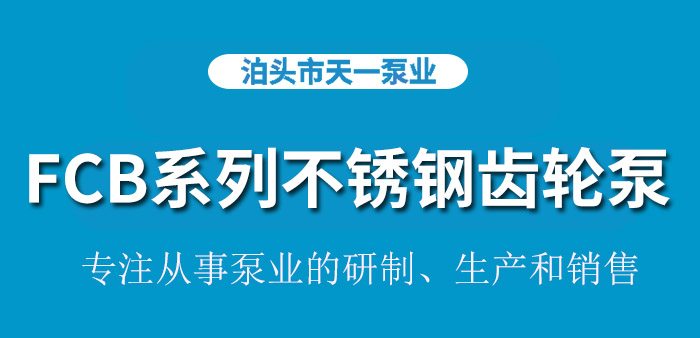 <strong>浙江FCB系列不锈钢齿轮泵</strong>