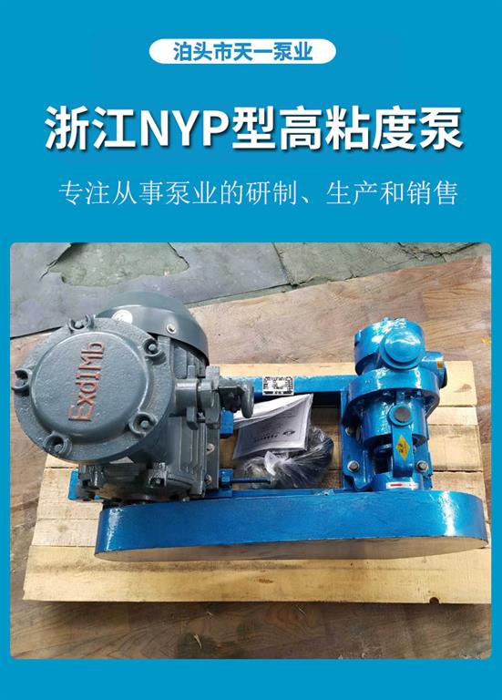 <strong>浙江NYP型高粘度泵</strong>