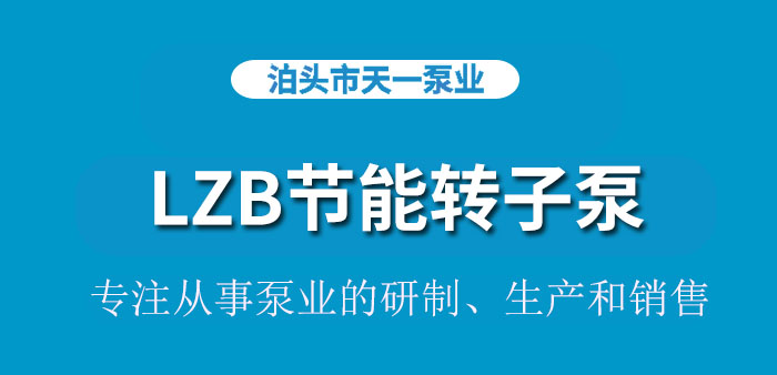 <strong>浙江LZB节能转子泵</strong>