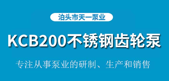 KCB200不锈钢齿轮泵