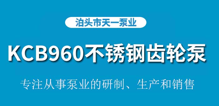 <strong>KCB960不锈钢齿轮泵</strong>