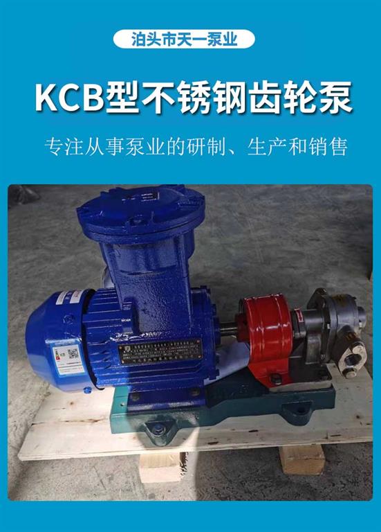 <strong>浙江KCB型不锈钢齿轮泵</strong>