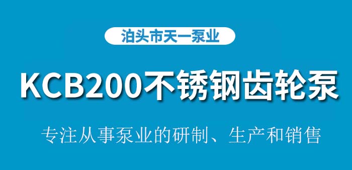 <strong>KCB200不锈钢齿轮泵</strong>