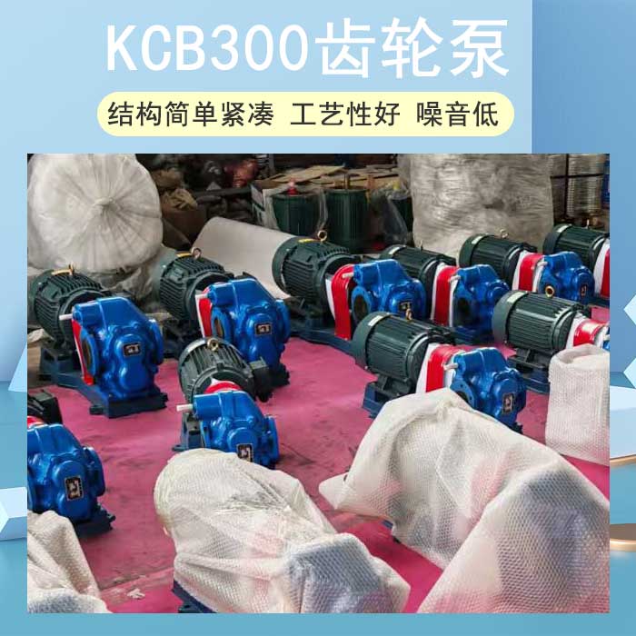 <strong>KCB300齿轮泵</strong>