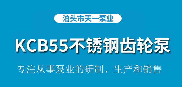 <strong>KCB55不锈钢齿轮泵</strong>