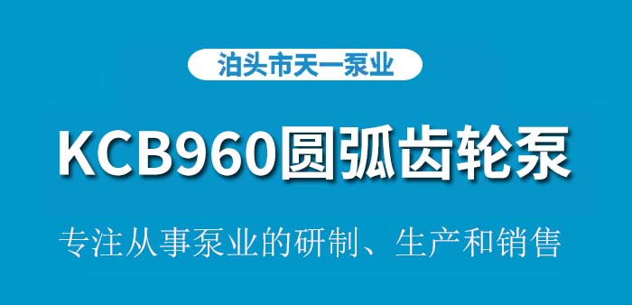 <strong>KCB960不锈钢圆弧齿轮泵</strong>