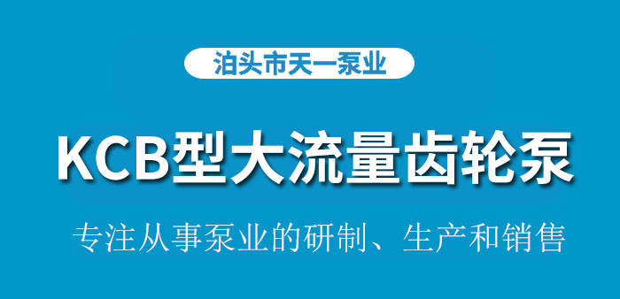 <strong>浙江KCB型大流量齿轮泵</strong>