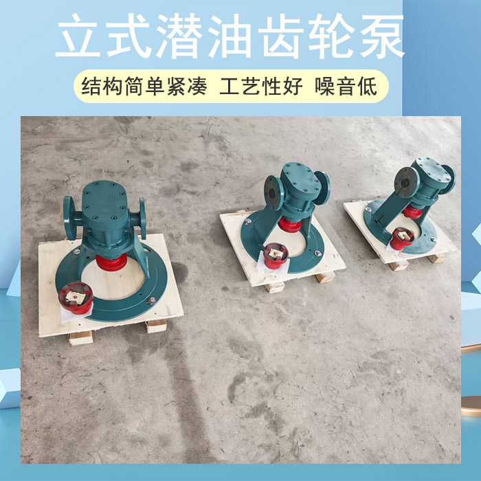 <strong>立式潜油齿轮泵</strong>