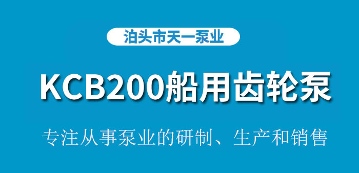 KCB200船用齿轮泵