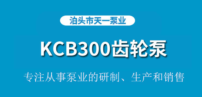 KCB300齿轮泵