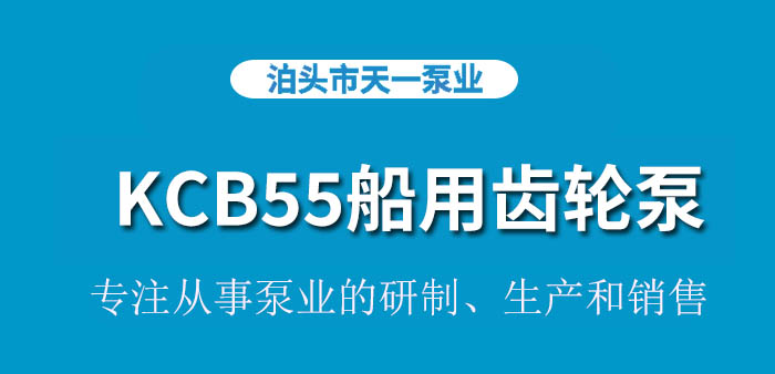 KCB55船用齿轮泵