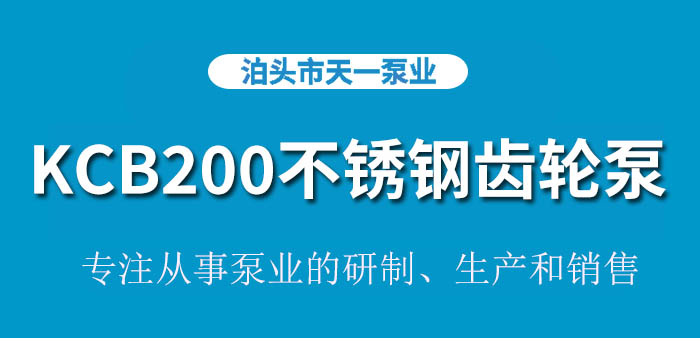 KCB200不锈钢齿轮泵