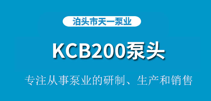 <strong>浙江KCB200泵头</strong>