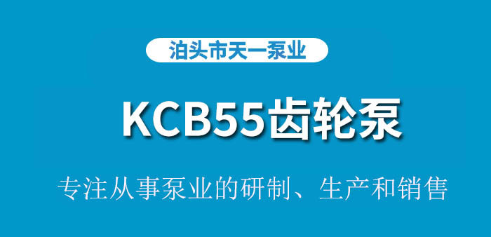 <strong>浙江KCB55齿轮泵</strong>
