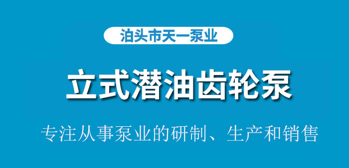 立式潜油齿轮泵
