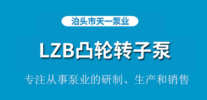 <strong>浙江LZB凸轮转子泵</strong>