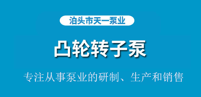 <strong>浙江凸轮转子泵</strong>