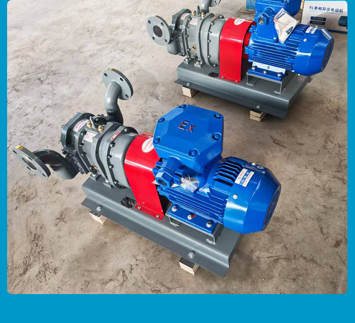 浙江凸轮转子泵