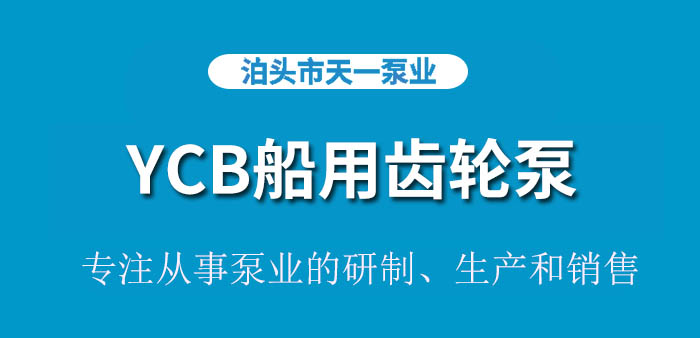 YCB2.5/0.6船用齿轮泵