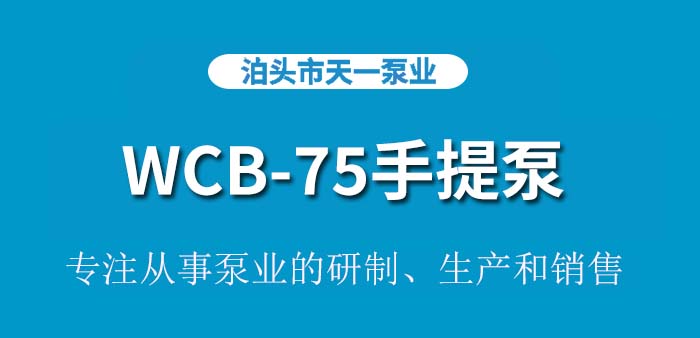 <strong>WCB-75手提泵</strong>