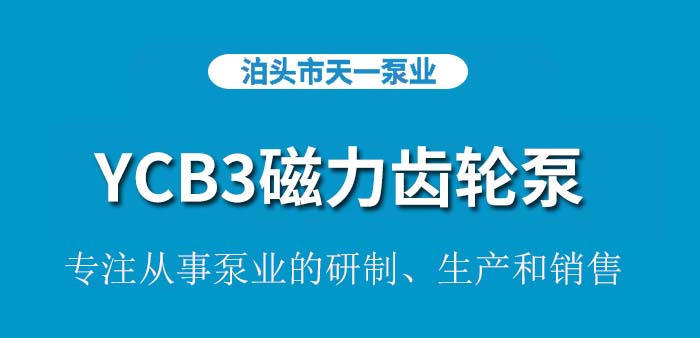 <strong>YCB3磁力齿轮泵</strong>
