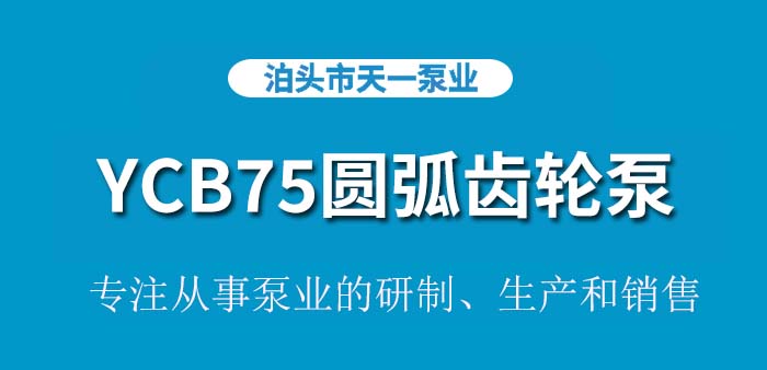 <strong>YCB75圆弧齿轮泵</strong>