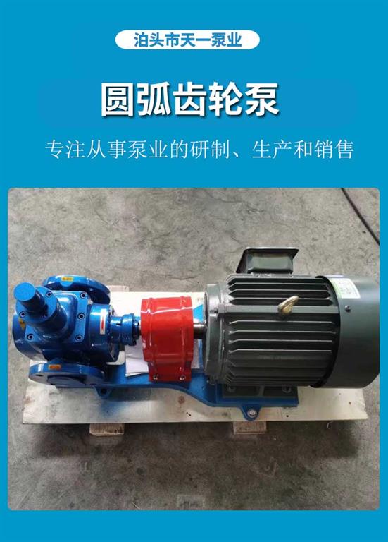 <strong>浙江圆弧齿轮泵</strong>